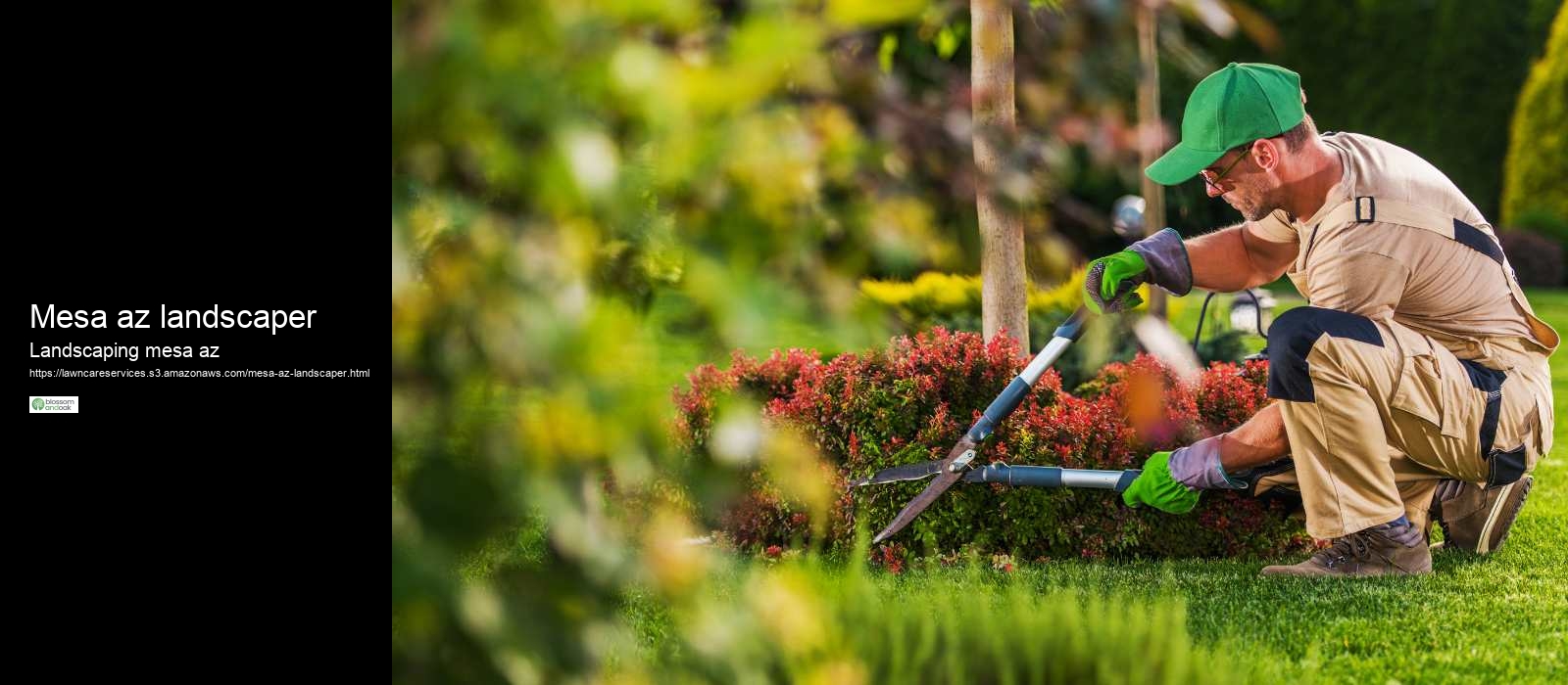 Mesa az landscaper