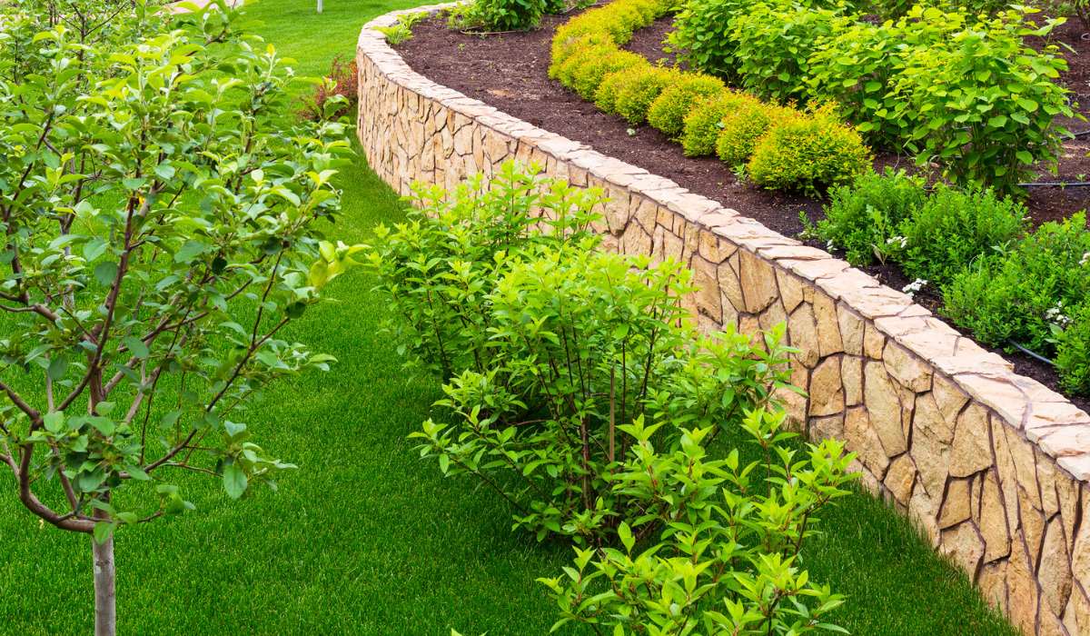 Mesa az landscape companies